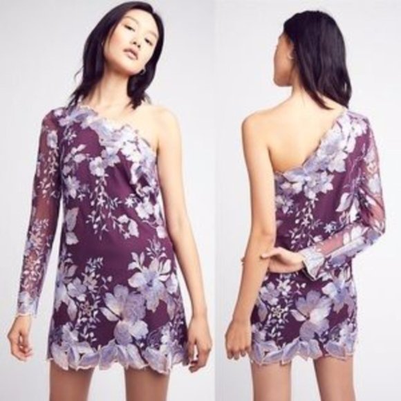 Free People Dresses & Skirts - Free People Rosalie Embroidered Mini Dress Size 2